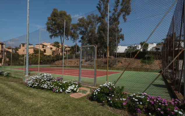 La Palmera - Photo 3