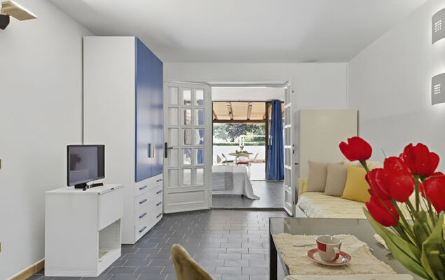 Bouganville - Photo 7