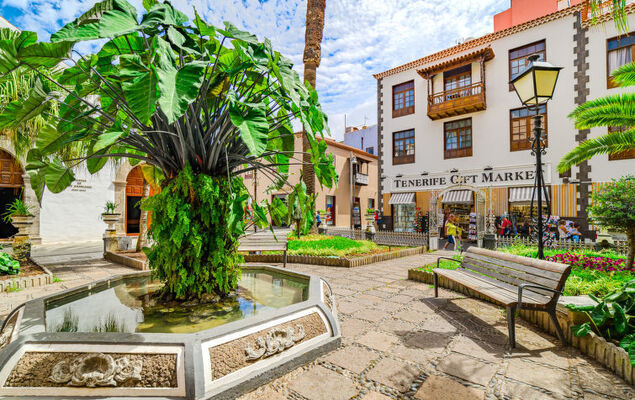 Yubal III - Photo 33