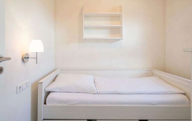 Kampfläufer - Photo 11