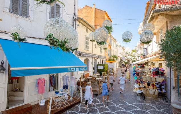 Les Côteaux du Préconil - Photo 29