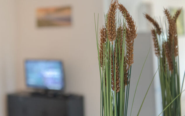 Vissershuis 2 with parking - Photo 14