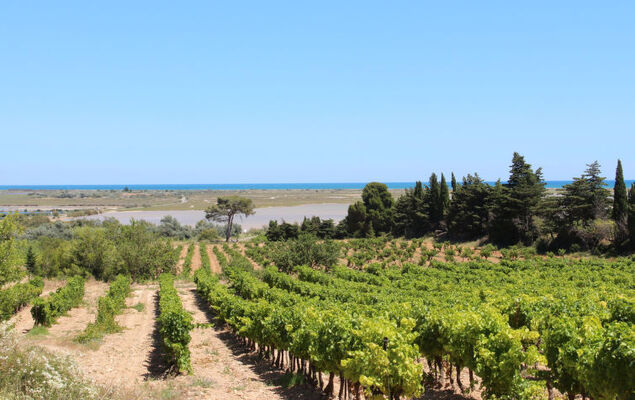 Les Hauts de St Pierre - Photo 24