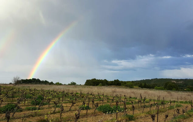 Les Hauts de St Pierre - Photo 26