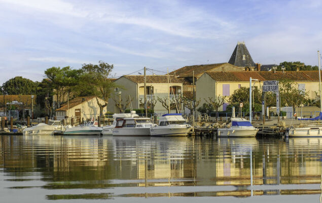 Les Hauts de St Pierre - Photo 28