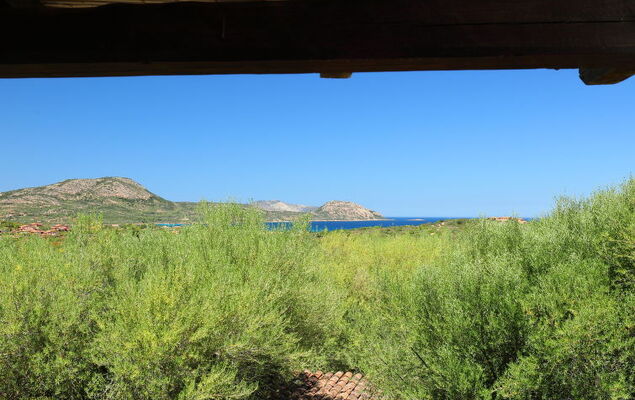 Dalia 19 - Vista Village - Photo 15