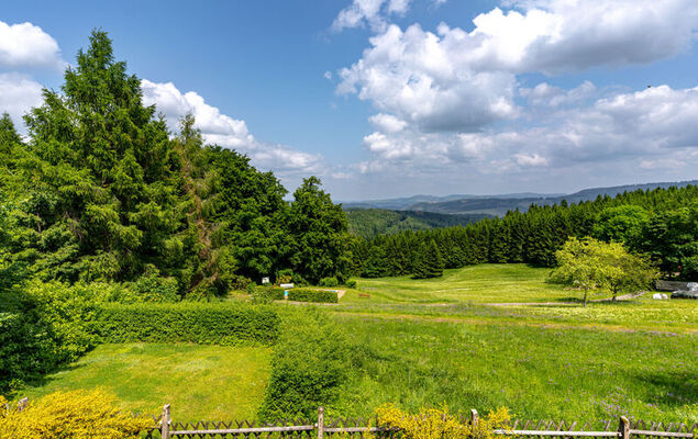 de luxe H751 mit Panoramasauna - Photo 41