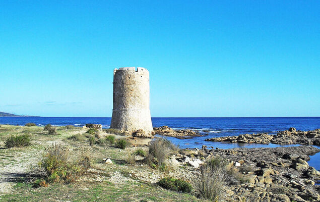 Blue House - Photo 24