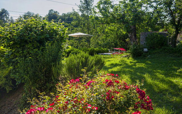 La Vallia - Photo 26