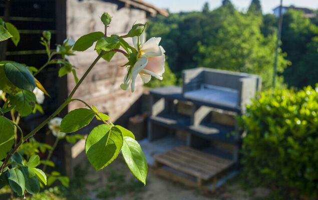 La Vallia - Photo 31