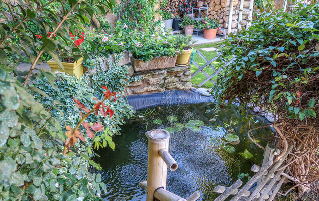 La Croix du Puits - Photo 21