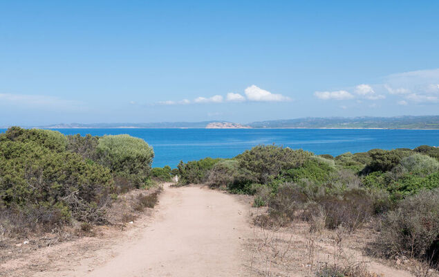 Vignola House 2 - Photo 22